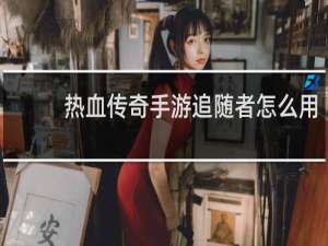 热血传奇手游追随者怎么用