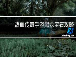 热血传奇手游黑龙宝石攻略