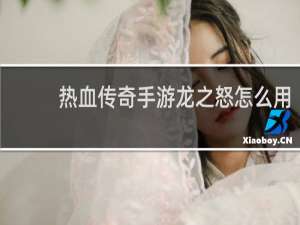 热血传奇手游龙之怒怎么用