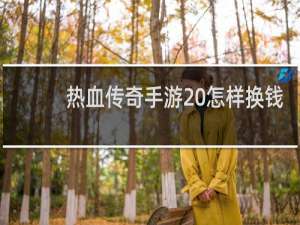 热血传奇手游 怎样换钱