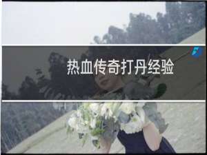 热血传奇打丹经验