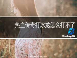 热血传奇打冰龙怎么打不了