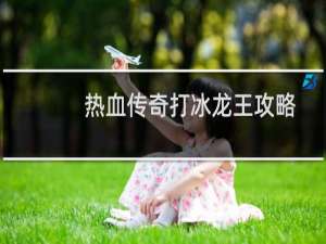 热血传奇打冰龙王攻略