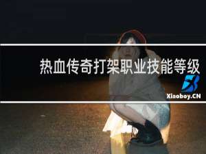 热血传奇打架职业技能等级