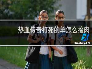 热血传奇打死的羊怎么捡肉