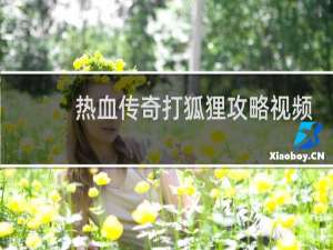 热血传奇打狐狸攻略视频