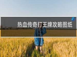 热血传奇打王牌攻略图纸