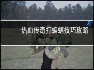 热血传奇打蝙蝠技巧攻略