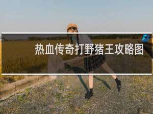热血传奇打野猪王攻略图