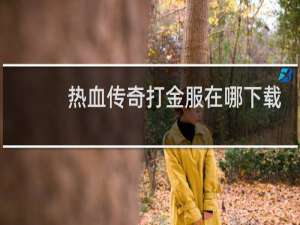 热血传奇打金服在哪下载