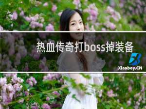 热血传奇打boss掉装备