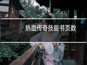 热血传奇技能书页数