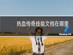 熱血傳奇技能文檔在哪里