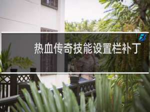 热血传奇技能设置栏补丁