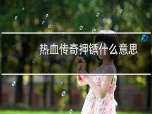 热血传奇押镖什么意思