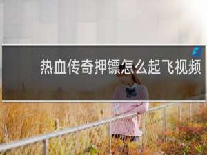 热血传奇押镖怎么起飞视频