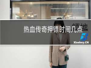 热血传奇押镖时间几点