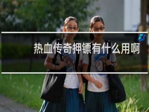 热血传奇押镖有什么用啊