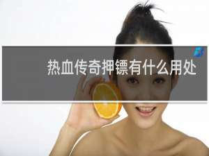 热血传奇押镖有什么用处