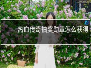 热血传奇抽奖勋章怎么获得