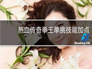 热血传奇拳王单挑技能加点
