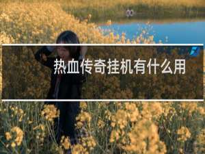 热血传奇挂机有什么用