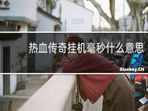 热血传奇挂机毫秒什么意思