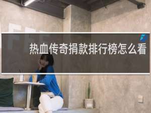 热血传奇捐款排行榜怎么看
