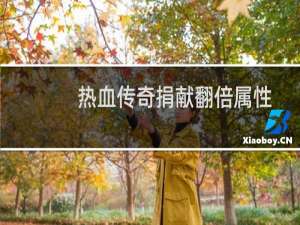 热血传奇捐献翻倍属性