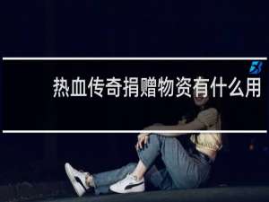 热血传奇捐赠物资有什么用