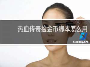 热血传奇捡金币脚本怎么用