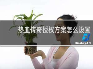 热血传奇授权方案怎么设置