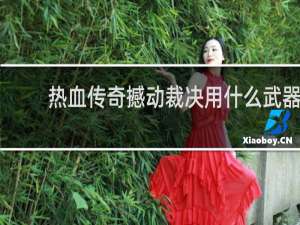 热血传奇撼动裁决用什么武器