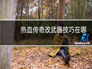 热血传奇改武器技巧在哪