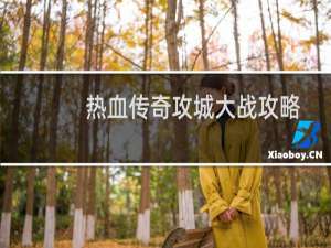 热血传奇攻城大战攻略