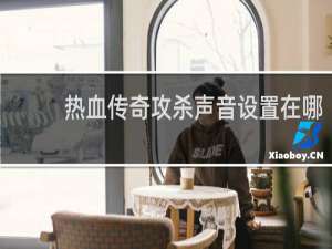 热血传奇攻杀声音设置在哪