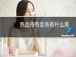 热血传奇攻杀有什么用