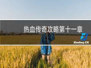 热血传奇攻略第十一章