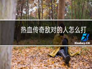 热血传奇敌对的人怎么打