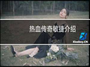 热血传奇敏捷介绍