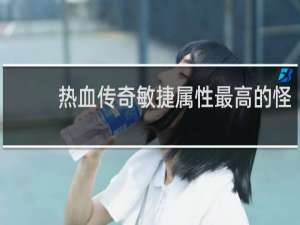 热血传奇敏捷属性最高的怪