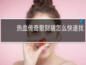 热血传奇散财猪怎么快速找