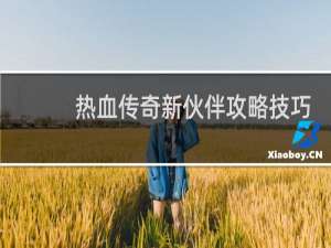 热血传奇新伙伴攻略技巧