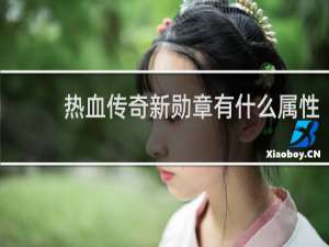 热血传奇新勋章有什么属性