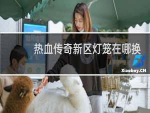 热血传奇新区灯笼在哪换