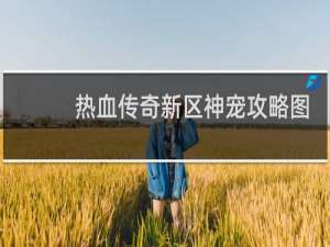 热血传奇新区神宠攻略图
