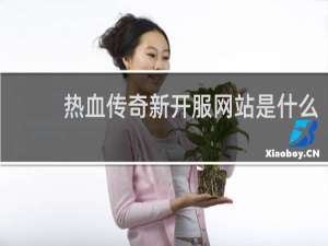 热血传奇新开服网站是什么