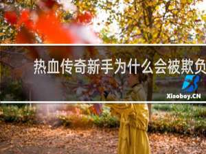 热血传奇新手为什么会被欺负
