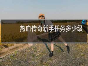 热血传奇新手任务多少级