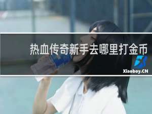 热血传奇新手去哪里打金币